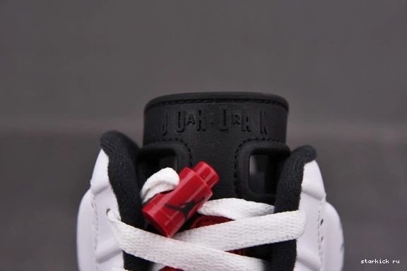 Retro Carmine CT8529-106 6 (2021) CT8529-106 Air Jordan 0810